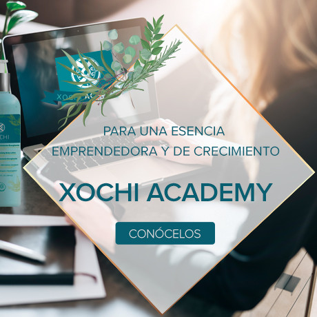Notixochi-academy