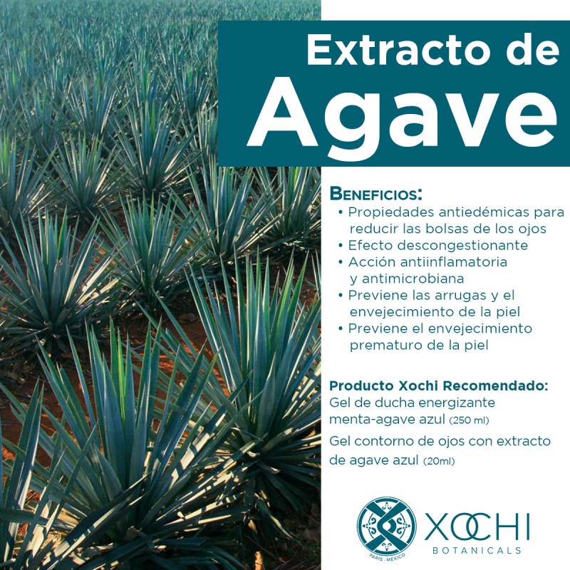 GEL CONTORNO DE OJOS CON EXTRACTO DE AGAVE AZUL