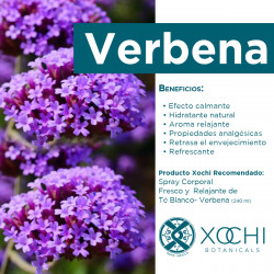 BODY MIST TE BLANCO-VERBENA