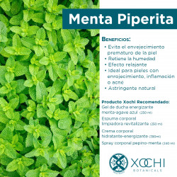 BODY MIST PEPINO-MENTA